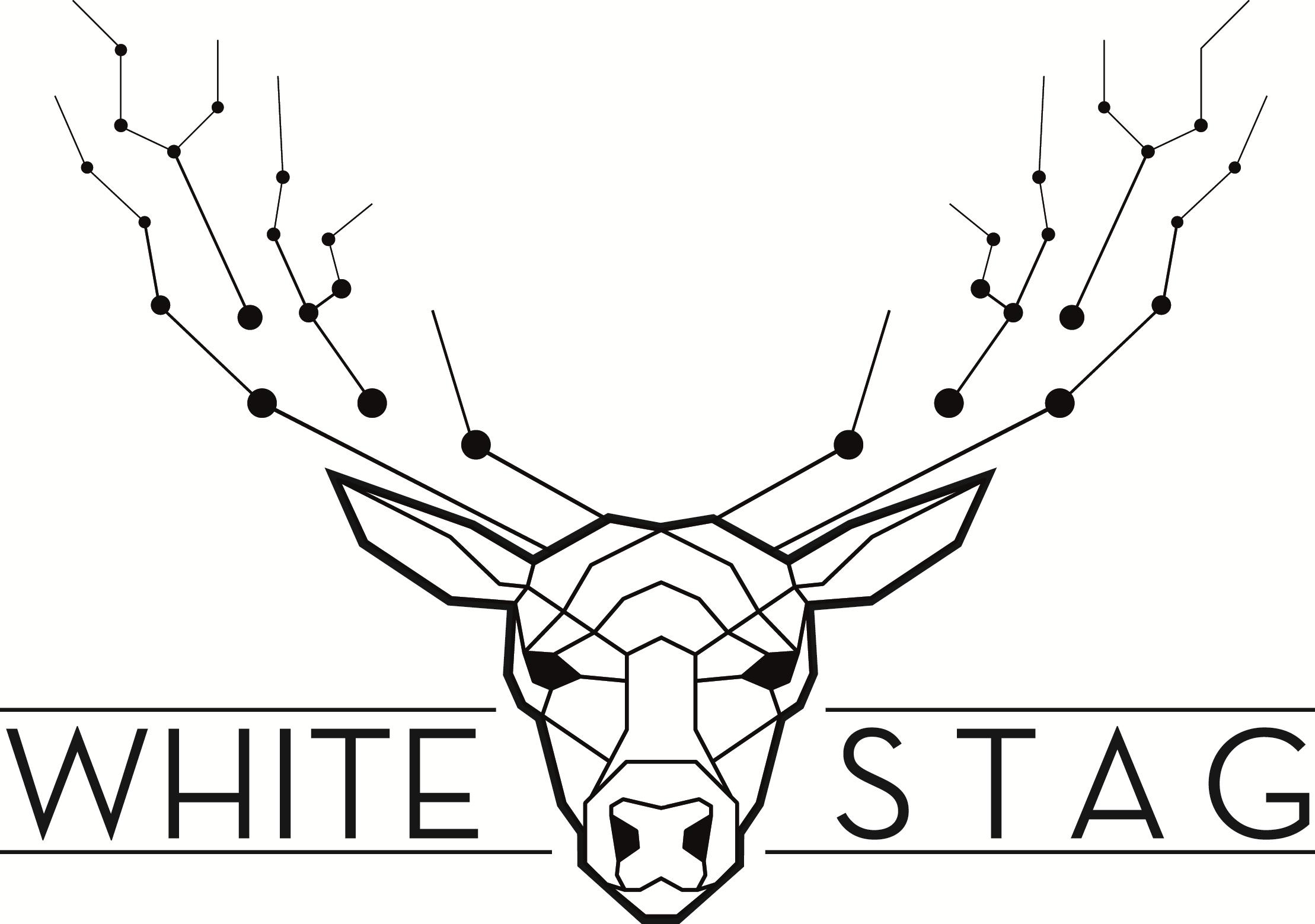 Whitestag Development Website